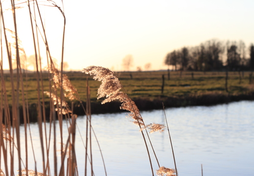 Naturbilder