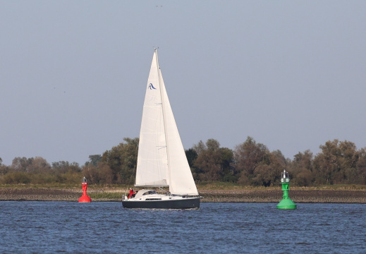 8G3A9158