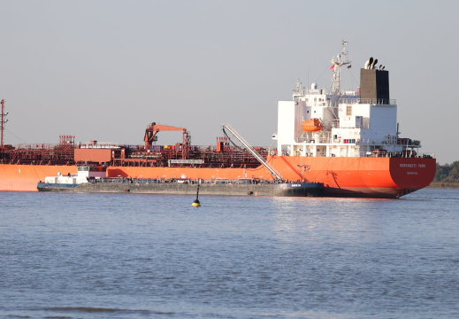 8G3A9239